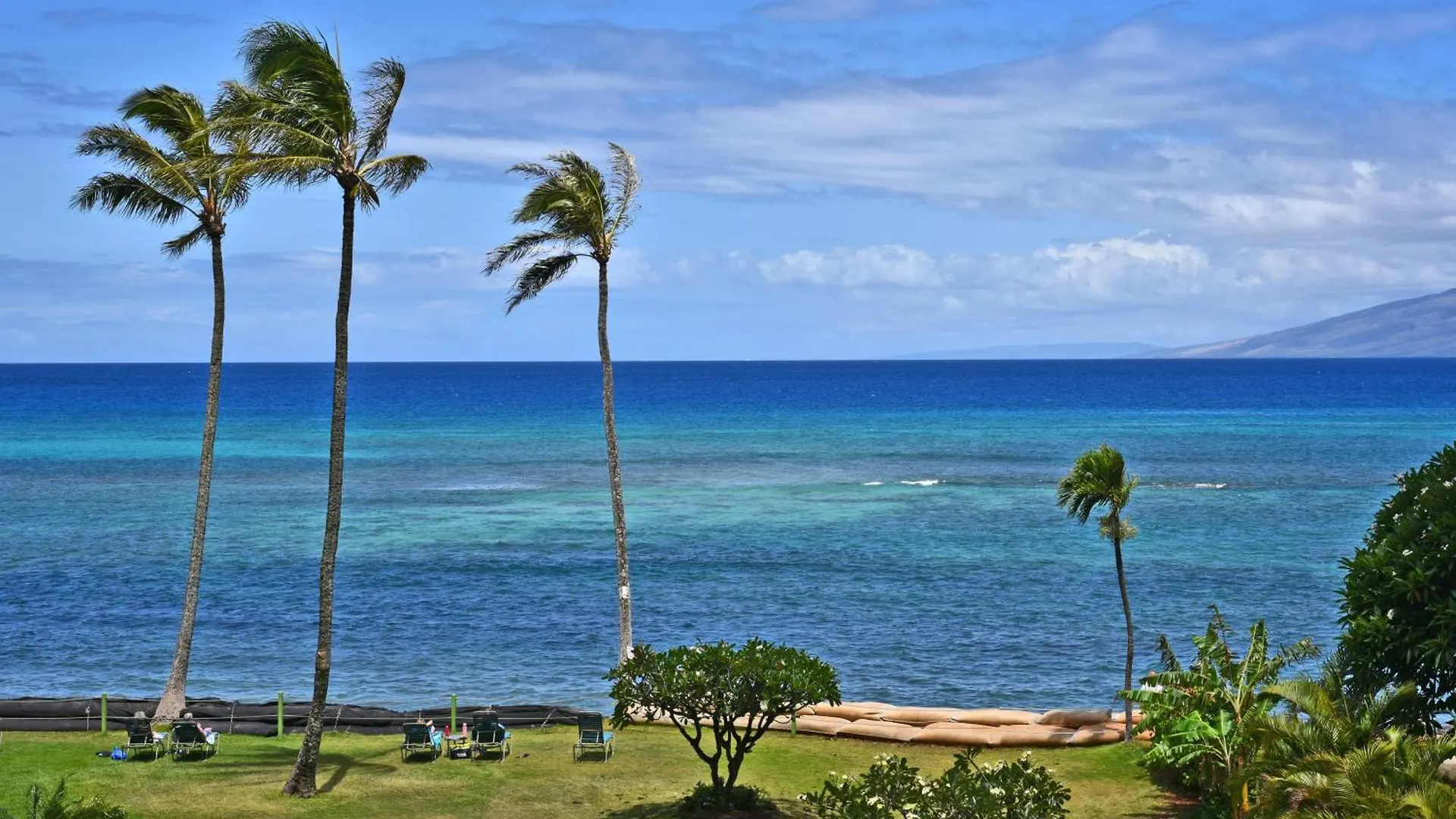 Royal Kahana 301 0*,  USA