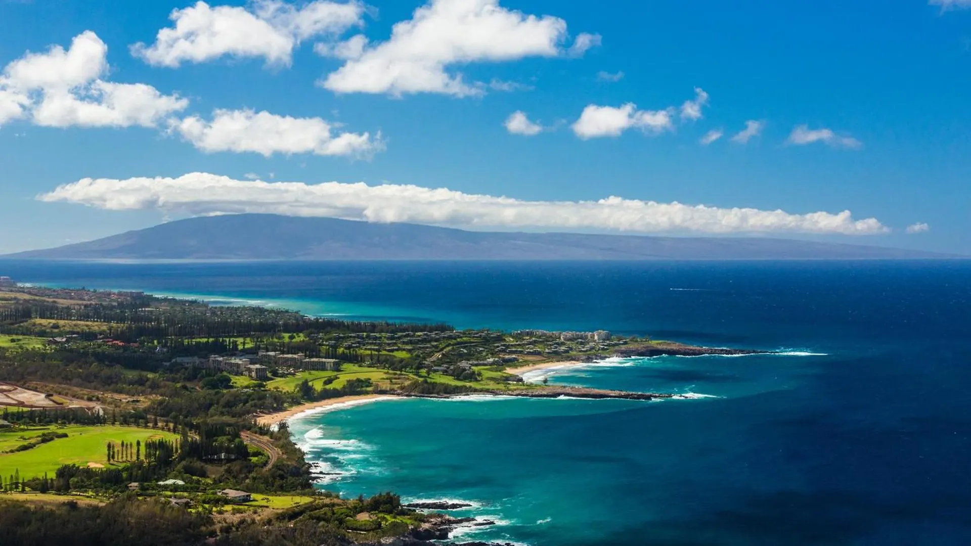 Royal Kahana 301